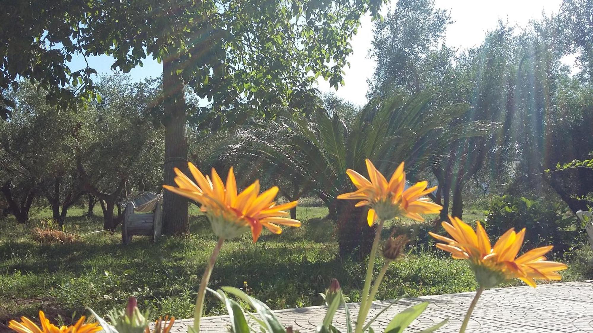 Agriturismo Santa Maria Marta Kültér fotó